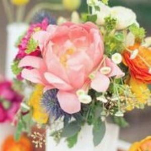 Meet your Posher, Ann marie